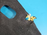 Wygłuszenie maski PODBITKA Peugeot 5008