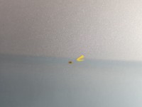 Klapa tył hyundai H1 II HB 5d kD