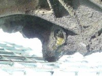 Skrzynia biegów 2CB61, 02CB61 Peugeot 306 1.4 jedn