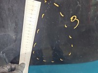 Maska przednia Opel Astra V K GB9 22Y