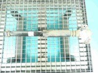 Amortyzator tył prawy Hyundai I30 III 16- HB tylny