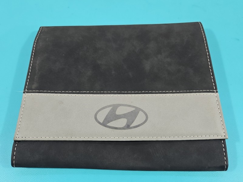 Instrukcja Hyundai Elantra VII 20-