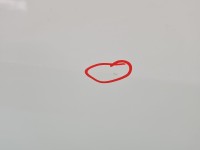 DRZWI PRZÓD PRAWE PASAŻERA Renault Clio III 3d OV369