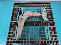 Wahacz przód prawy Honda Civic VIII UFO przedni