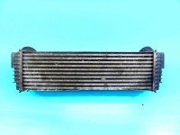 Intercooler BMW X5 E70 7533475 3.0d