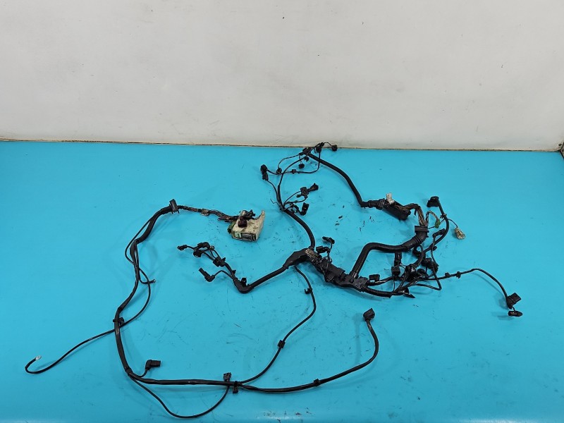 InstalacJa Wiązka silnika 850790407, 758067806C 2.0d (N47D20C) bmw F30