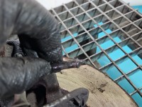 Zwrotnica prawa piasta przód 2.0 dci Renault Trafic III