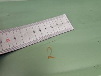 Klapa tył Hyundai Getz HB 3d