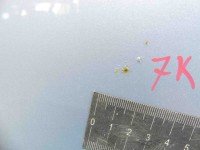 Drzwi tył lewe Toyota Verso 09- HB 5d błękitny 8S1