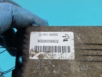 Sterownik moduł Chevrolet Captiva G1701-00050, 9009059802