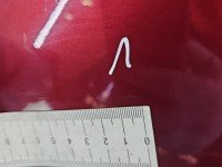 Błotnik przód lewy Mitsubishi Space star bordowy