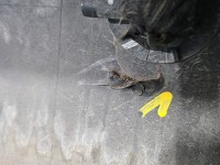 Zderzak tył Audi A4 B9 LS9R sedan