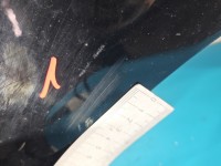 Błotnik przód prawy Mercedes W245 696