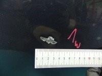 DRZWI PRZÓD LEWE KIEROWCY AUDI A6 C7 4d czarny LX5R