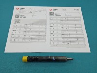 Wtryskiwacz Renault Megane II 1.5 dci