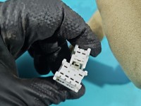 Instalacja Wiązka drzwi przód lewych INFINITI QX50 24125