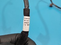 Instalacja Wiązka drzwi tył lewych Kia Picanto III 17- 91620-G6530, 91981-B4100