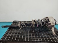 Amortyzator przód prawy przedni AUDI Q5 08-