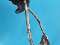 Rura przewód Producent części: BMW, Wtryskiwacza AD Blue BMW X5 F15 8519112-06, 179089-10 3.0d