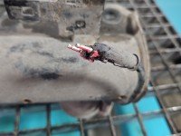 Amortyzator przód lewy przedni Opel Insignia A