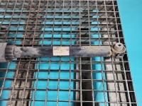 Amortyzator tył lewy Audi A4 B9 sedan tylny