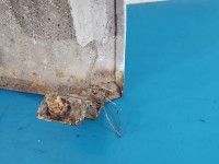 Błotnik przód prawy Citroen Jumper II 06-14 bialy