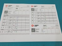 TESTOWANY Wtryskiwacz 0445110259 Citroen C4 I 1.6 hdi 90KM