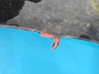 Zderzak przód Seat Ibiza III 6L granatowy LS5S