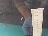 Drzwi przód prawe Citroen C2 3d czarny