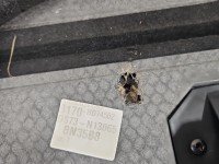 Wykładzina bagażnika podłoga Ford Mondeo Mk5 DS73-N13065