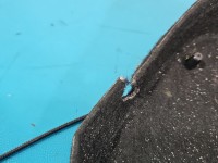 Półka tylna tył bagażnika Skoda Scala 2019-