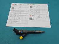 Wtryskiwacz Renault Scenic II 0445110110 1.9d