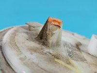 pompka Pompa paliwa Kia Ceed I 06- 1.4 16V 31110-1H000, 2000-C17940 Producent części: KIA, 5PIN, Uszkodzony króciec.