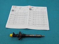 TESTOWANY Wtryskiwacz Citroen C5 II X7 9688438580 2.0 hdi (10DYXG)