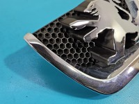 Atrapa grill Peugeot 207