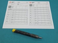 Wtryskiwacz Renault Clio II 1.5 dci