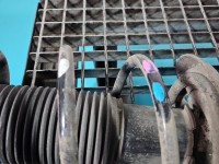 Sprężyna przód przednia i20 III 2020- 1.2 16V (G4LF)