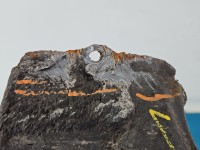 Błotnik przód lewy Honda Accord VIII 08- NH737M