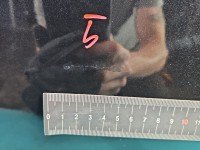 DRZWI PRZÓD LEWE KIEROWCY Chevrolet Cruze 4d czarny GAR