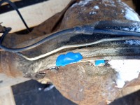 Most tylny DYFER tył Ford Transit 2.5 TD