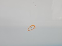 DRZWI PRZÓD PRAWE PASAŻERA Vw Tiguan I 07- 5d LB9A