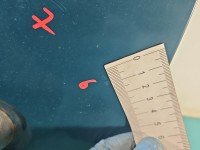 DRZWI PRZÓD PRAWE PASAŻERA Renault Kangoo I 5d zielony