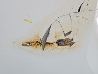 Maska przednia Dacia Sandero III 20- biały, DV369