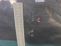 DRZWI PRZÓD PRAWE PASAŻERA Bmw e39 4d czarny COSMOSSCHWARZ METALLIC (303)