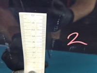 DRZWI PRZÓD LEWE KIEROWCY Peugeot 308 II T9 5d EKUD