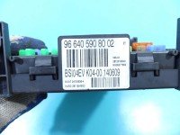 Sterownik moduł CITROEN Citroen C5 II X7 966405908002