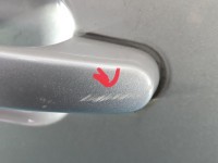 DRZWI PRZÓD PRAWE PASAŻERA Ford Freestyle Taurus X 5d beżowy PNUPL0 - Silver Birch Metallic