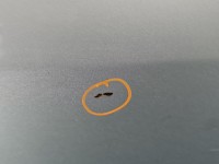 Drzwi tył lewe Kia Carens III 06-13 HB 5d srebrny 7S