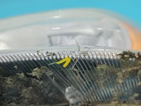 Reflektor lewy lampa przód Ford Freestyle Taurus X EUROPA