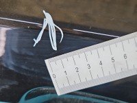 DRZWI PRZÓD PRAWE PASAŻERA Peugeot 508 I 5d czarny KDM